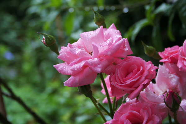 img_5133.jpg